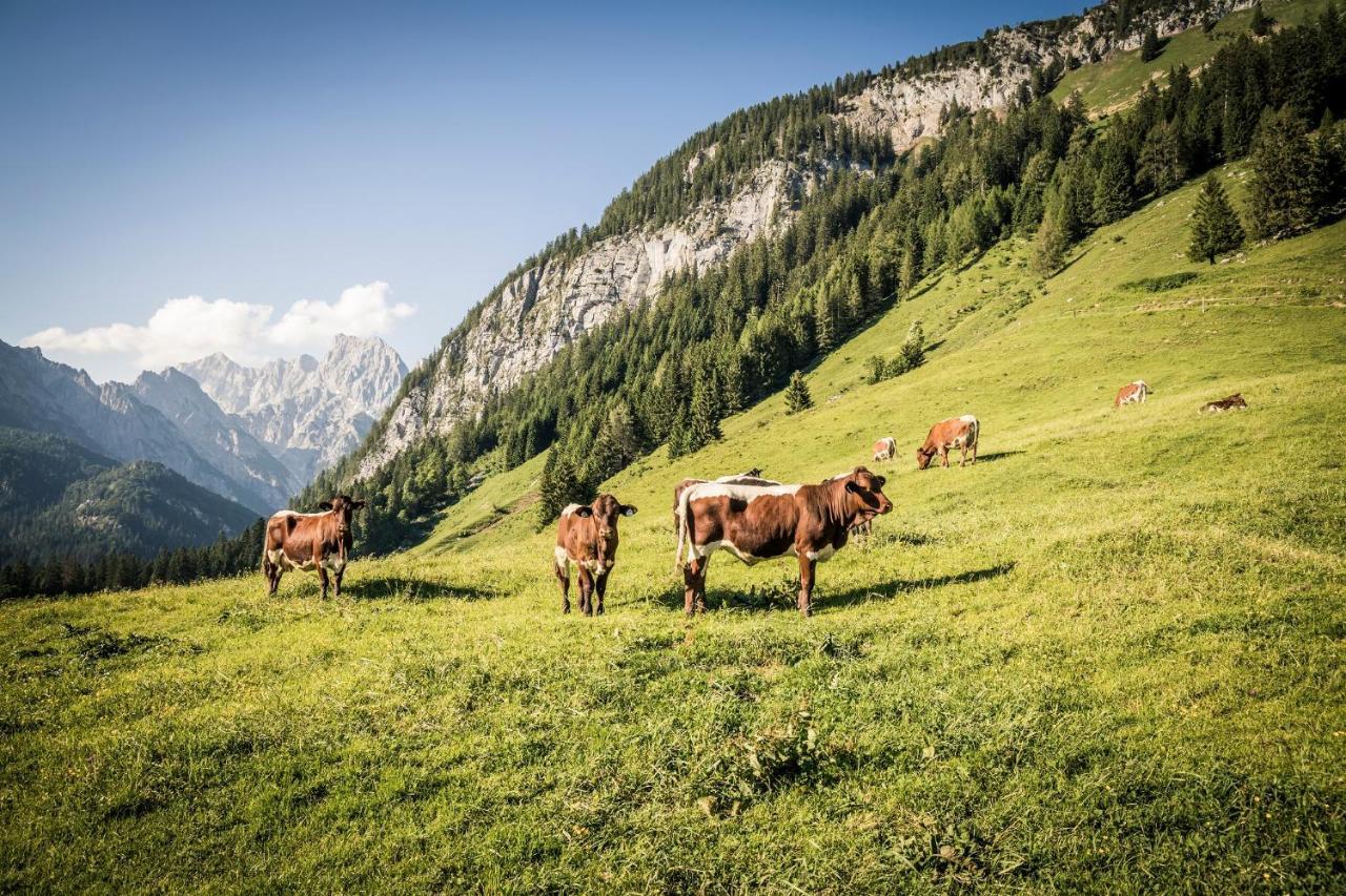 Exklusive Fewo Drachleck Mit 3 Schlafzimmern & Panoramabergblick In Bester Lage Schönau am Königssee 외부 사진